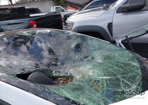 2023 Tesla Model 3 from USA, damaged, VIN 5YJ3E1EBXPF703924